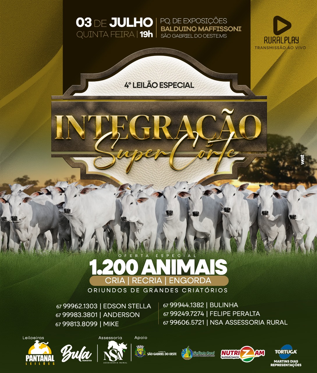 4º LEILÃO INTEGRAÇÃO ESPECIAL - PANTANAL LEILÕES
