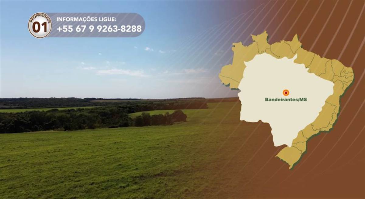 Terralmo 1: Fazenda à venda em Bandeirantes/MS