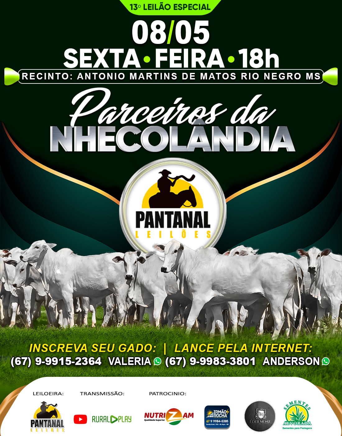 13º Leilão de Especial - Parceiros da Nhecolândia - Pantanal Leilões