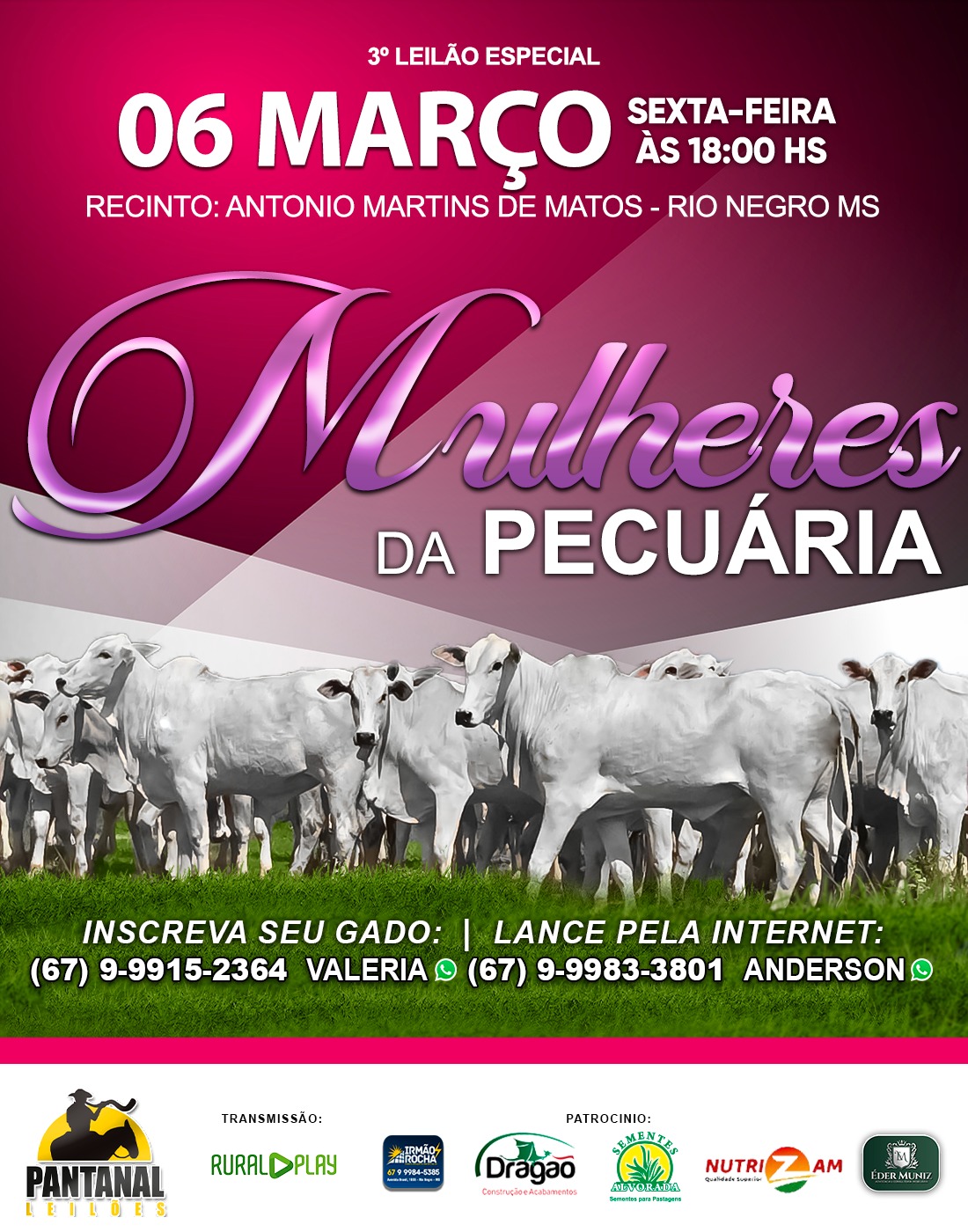 3º Leilão Especial - Mulheres da Pecuária - Pantanal Leilões