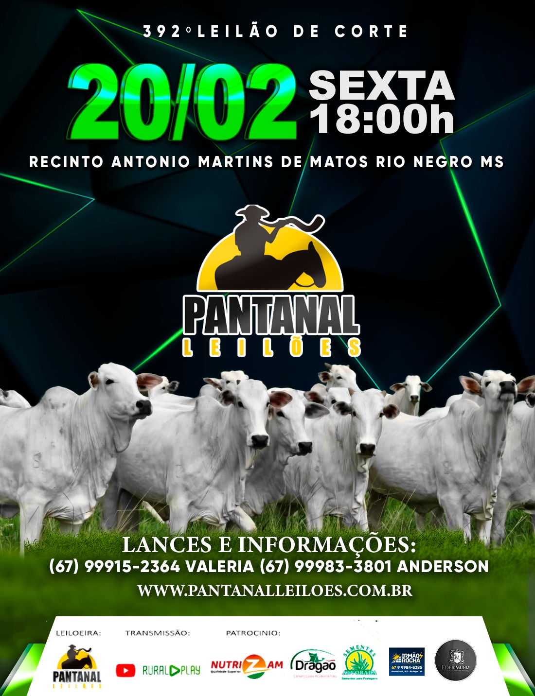 392º Leilão de Corte - Pantanal Leilões
