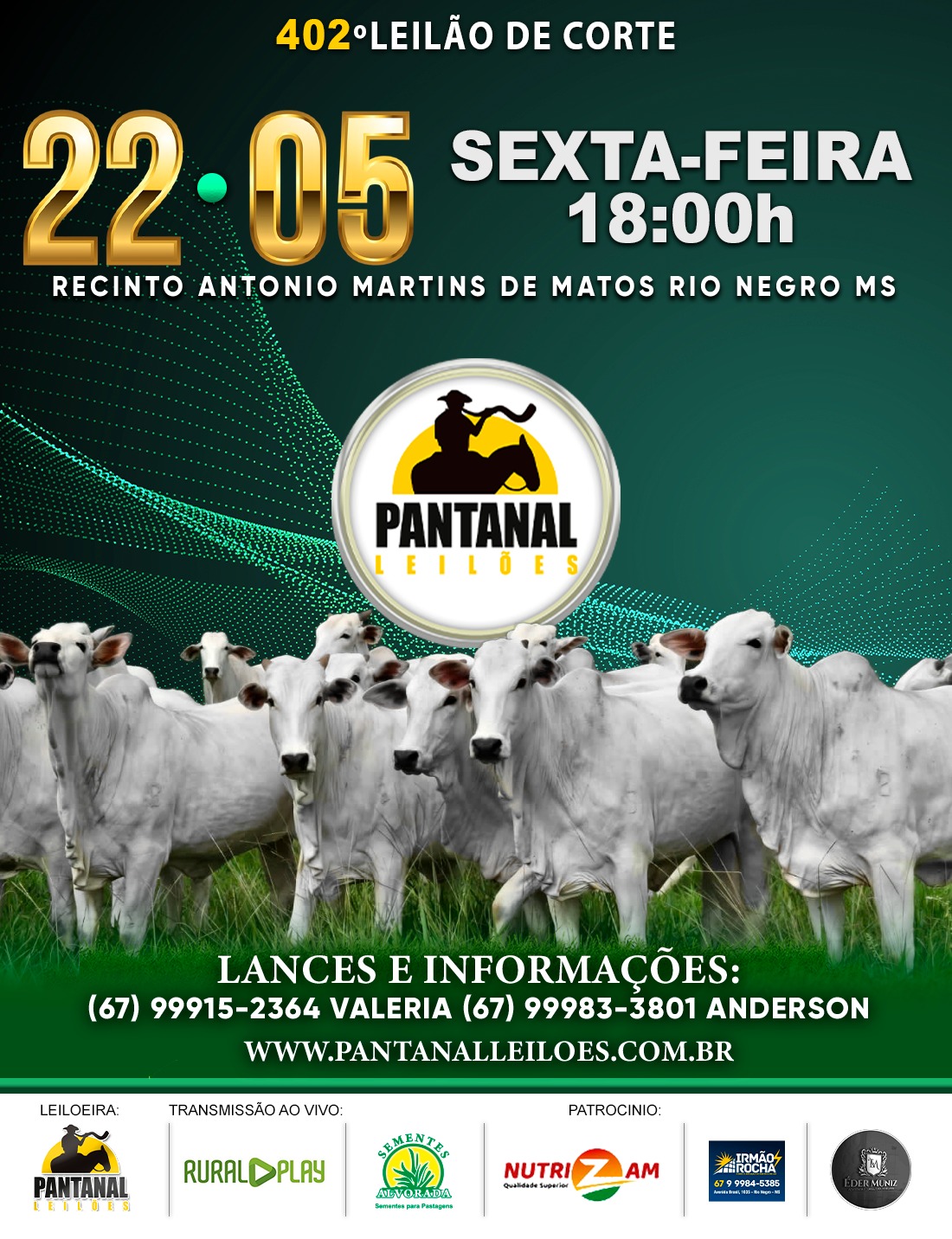 402º Leilão de Corte - Pantanal Leilões