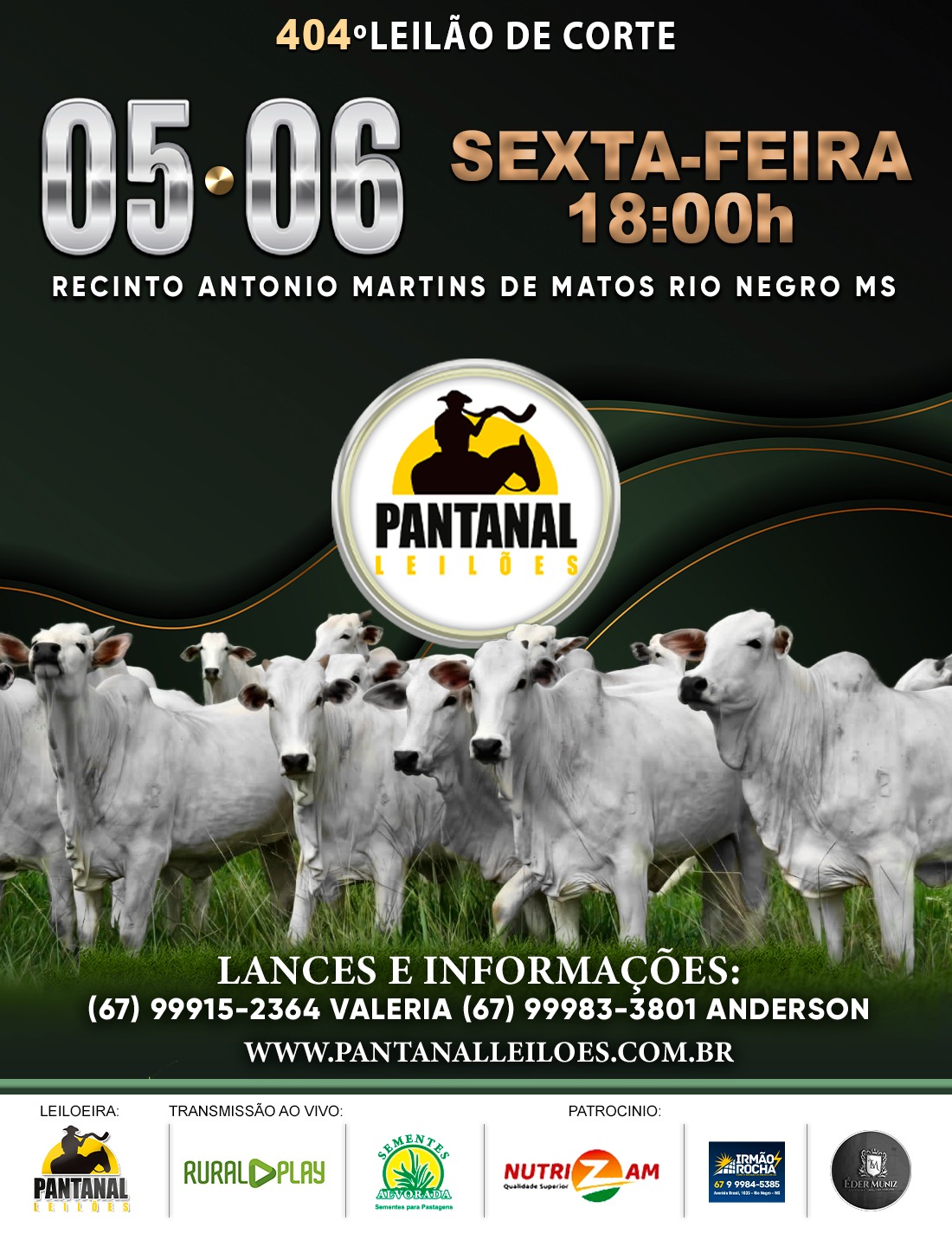 404º Leilão de Corte - Pantanal Leilões