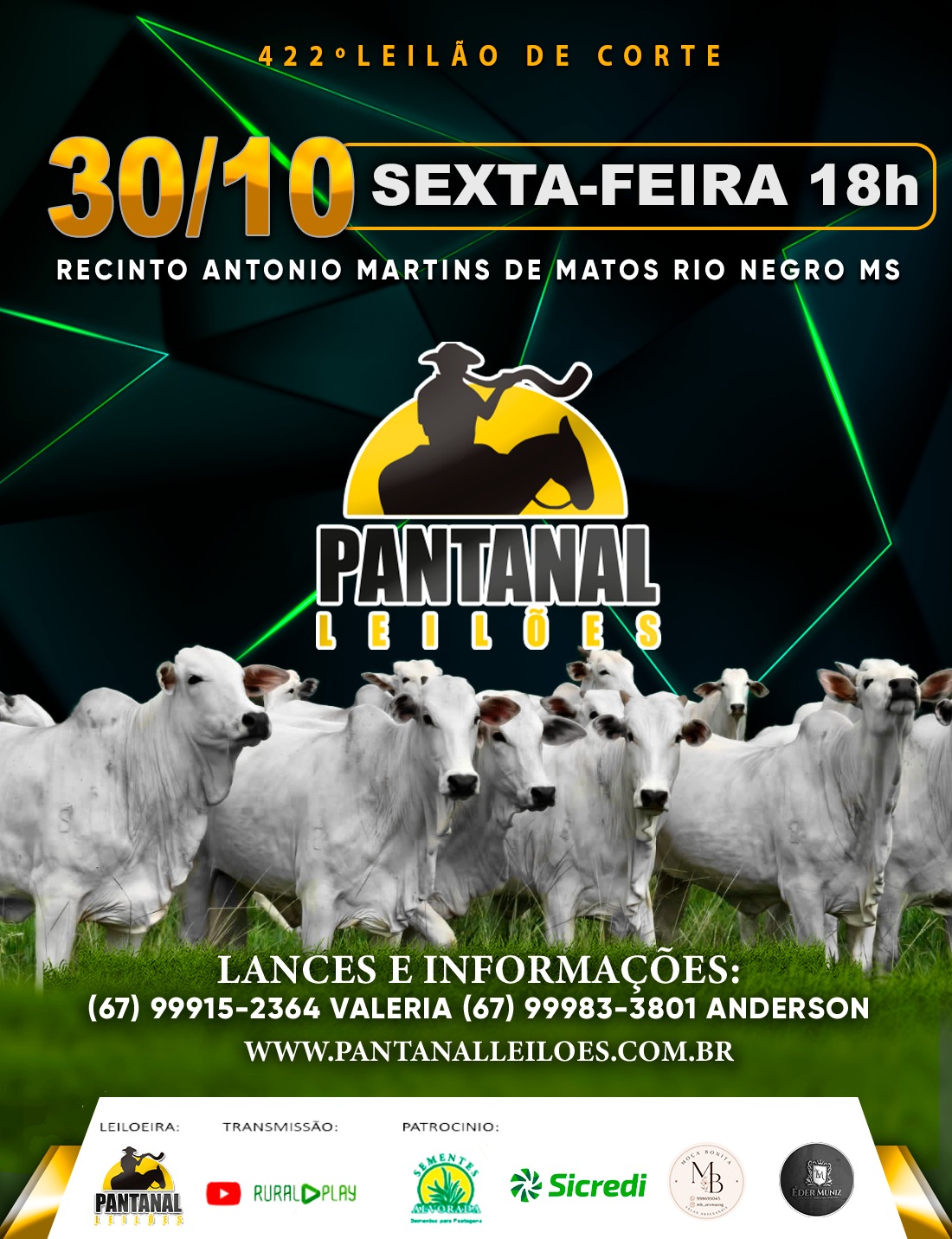 422° LEILÃO DE CORTE - PANTANAL LEILÕES